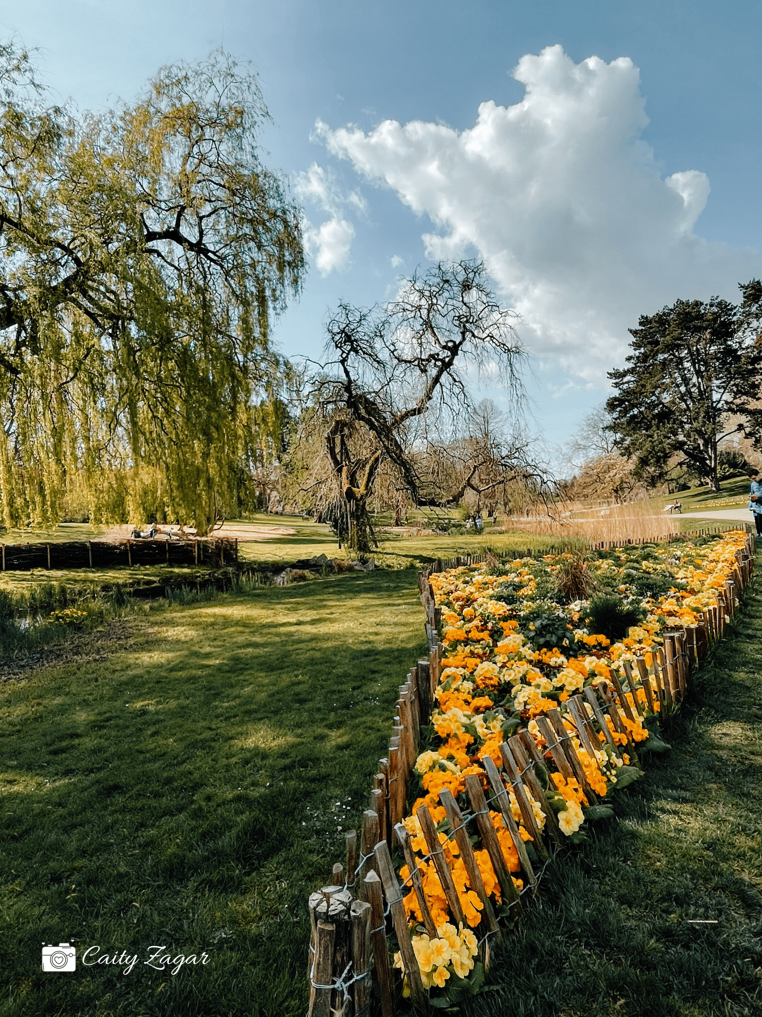 Parc Barbieux in Roubaix on a sunny day with yellow and orange flowers filling one of its flower beds and trees standing in the distance.