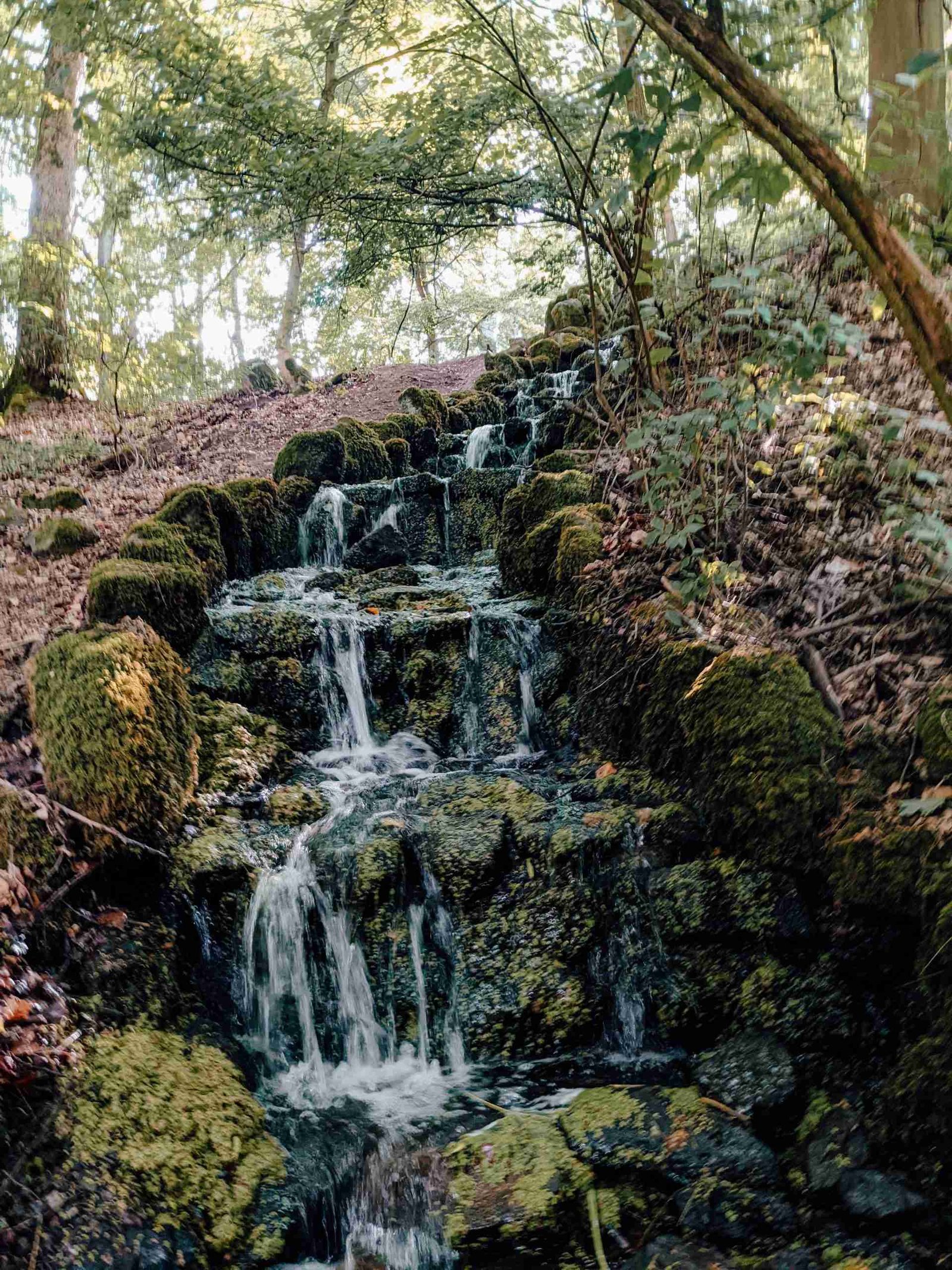A waterfall inside a dense German forest inside Bergpark - one of my favourite places in Kassel