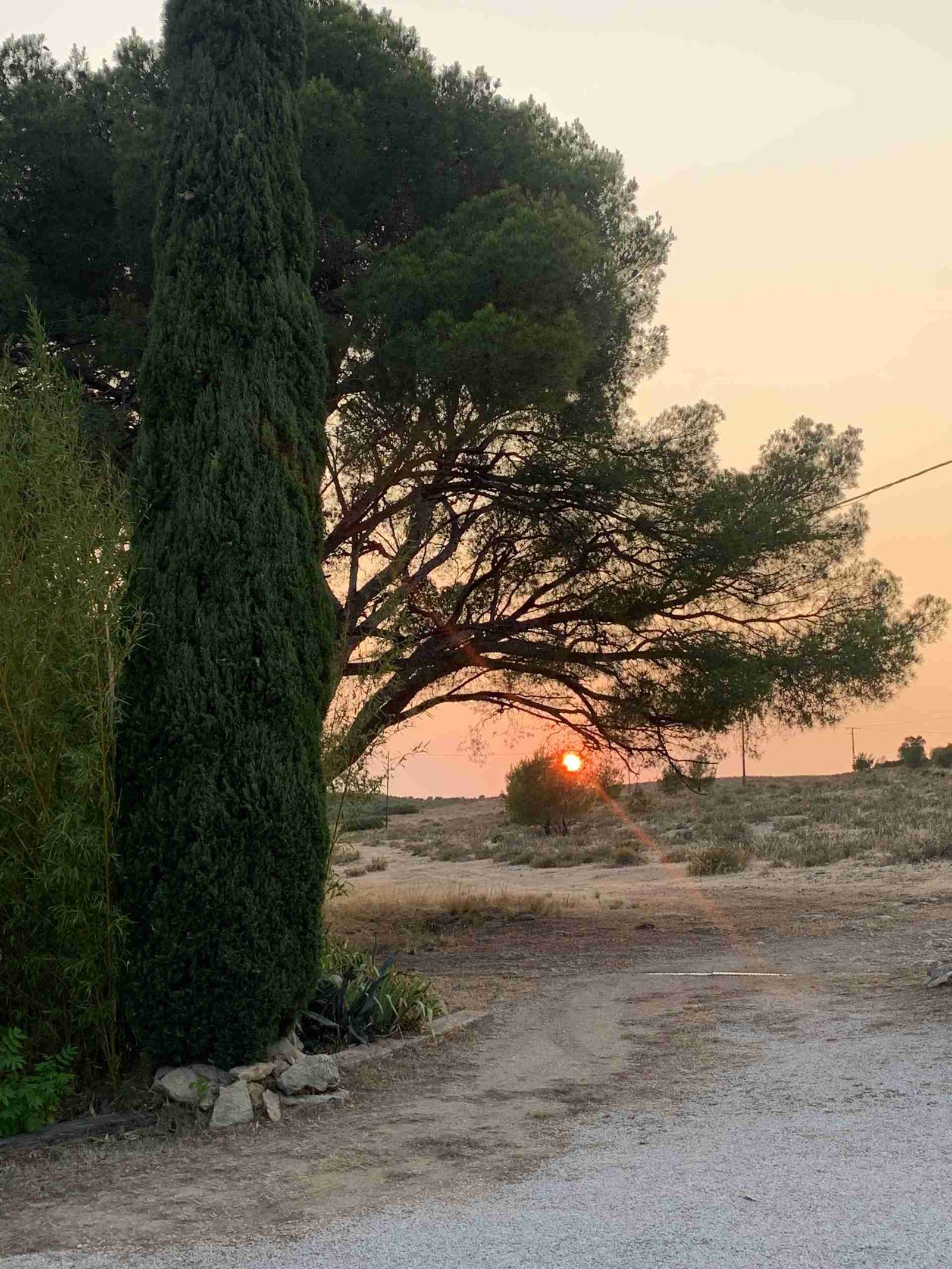 the sun setting on a dry evening in Provence