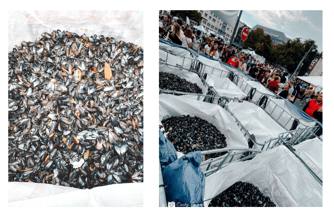 Some of the empty mussel shells from braderie