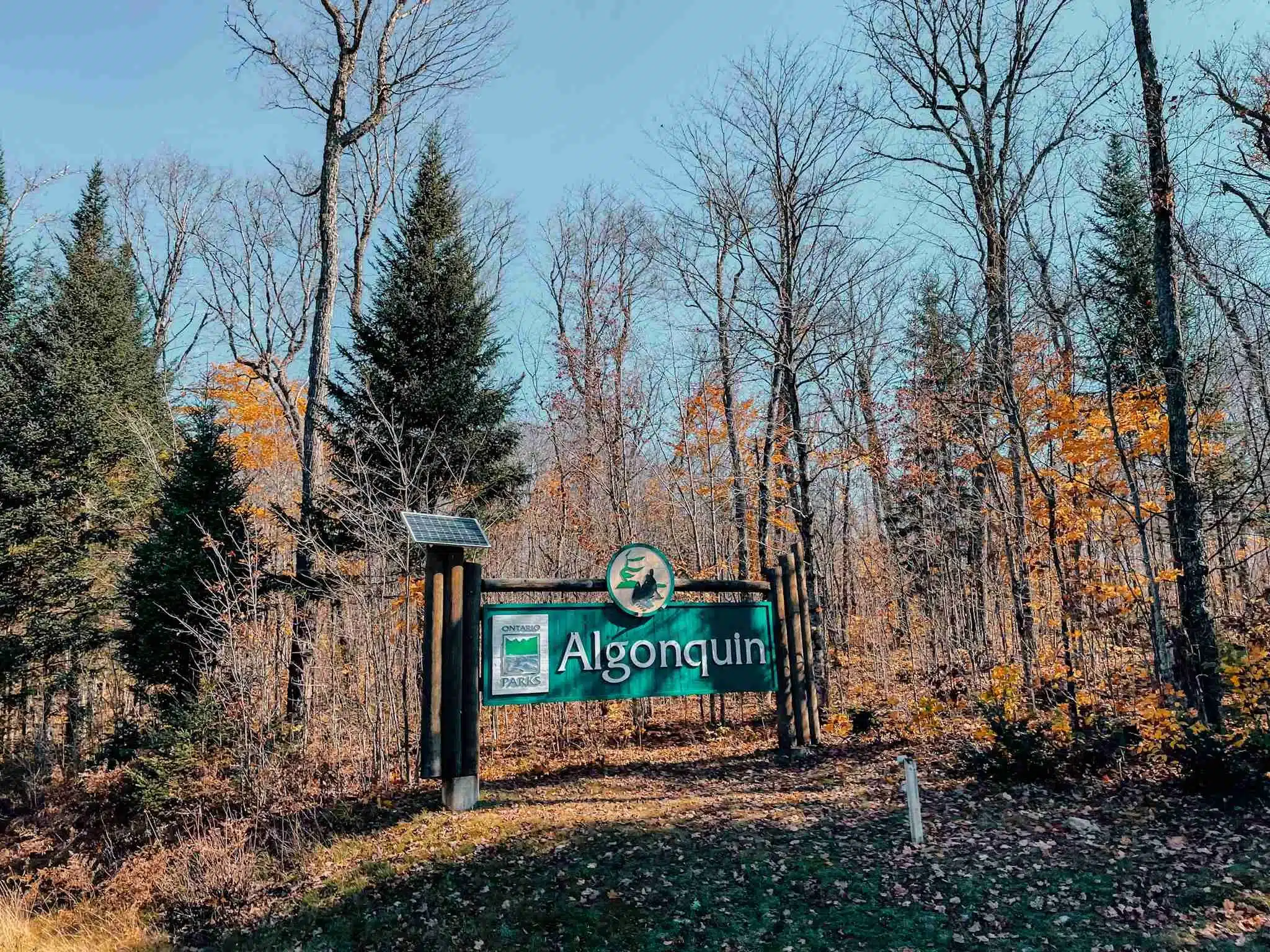 The Algonquin sign sits in front of a mixture of variety of trees at the entrance to the Provincial Park