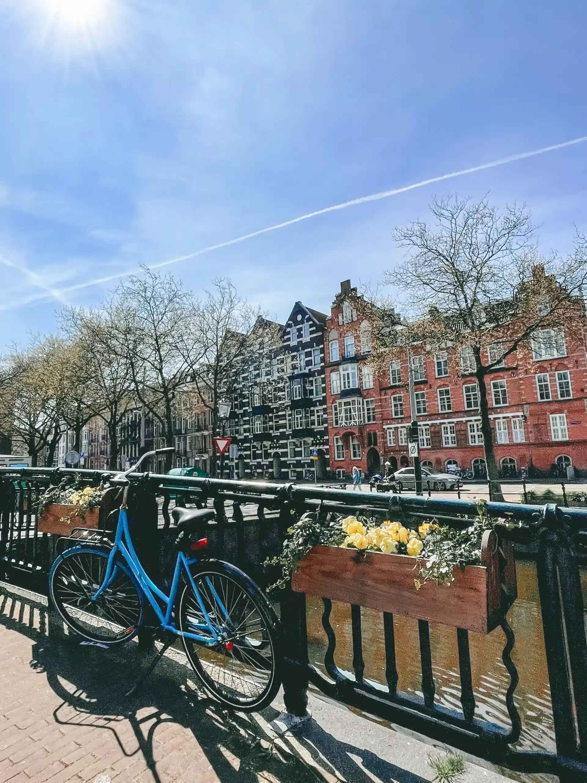 the canals of Amsterdam on a sunny day with a blue bike leaning against the railing and tall, Dutch buildings in the background. Beside the bike sits a flower basket filled with yellow flowers. The canals are the place to be to see the tulips in Amsterdam!